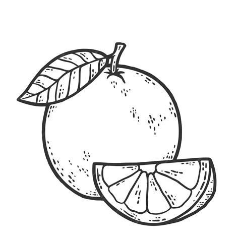 Orange Slice Clip Art Black And White