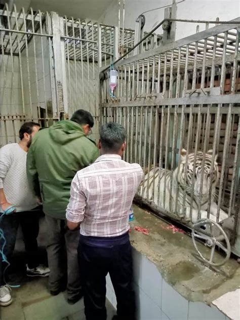 Press Release: Press Information Bureau