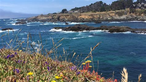 Belinda Point Trail - Mendocino Land Trust