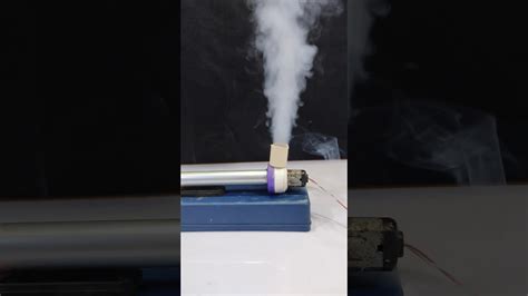 Image result for Model Activity Task Class 6 Science