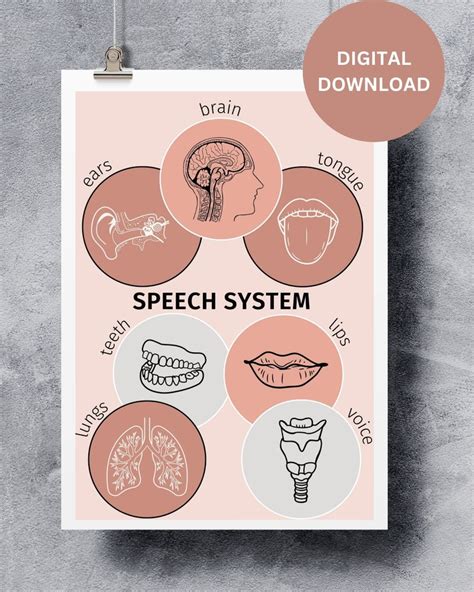 Buy Speech System Poster Visuals for Speech: Lungs Voice Online in ...