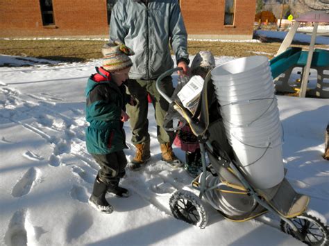 Image result for Box Elder Tree Syrup