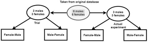 Towards Context-Aware Facial Emotion Reaction Database for Dyadic ...