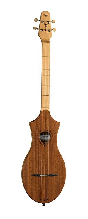 Seagull M4 G Mahagony EDUC – Jubal Store
