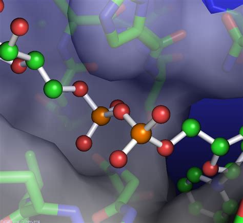 Image result for PyMOL Ray Tracing