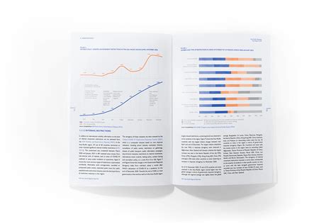 Data Report Design 的图像结果