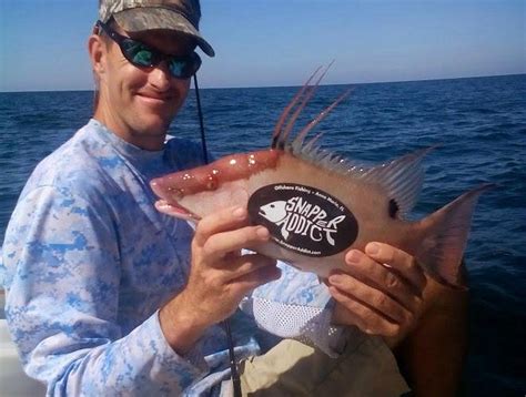 SNAPPER ADDICT FISHING CHARTER (2025) All You Need to Know BEFORE You ...