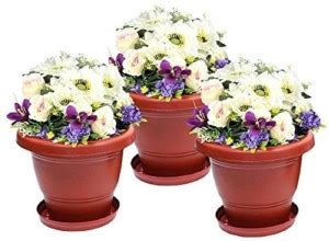 Delhi Pot Shop New Gardening Flower Pots-10 Inch | With suitable Bottom ...