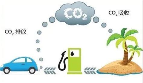 “碳达峰”和“碳中和”是什么？快来了解一下吧！_图片新闻_生态环境局_上海市青浦区人民政府