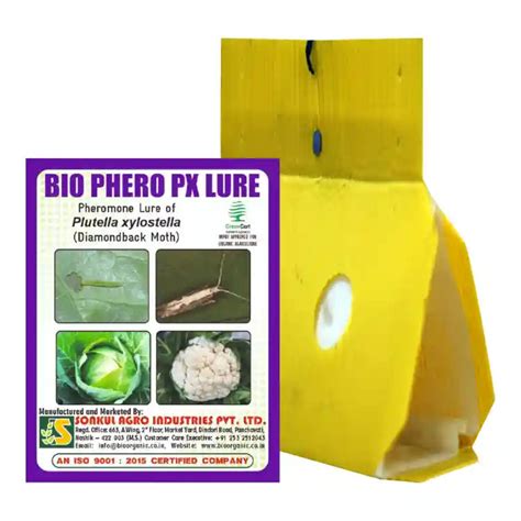 Sonkul Agro Bio Phero Px (Plutella xylostella Lure) Lure + Delta Trap ...