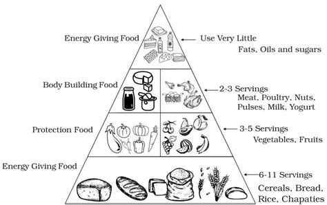 SATHEE: Chapter 03 Food, Nutrition, Health and Fitness