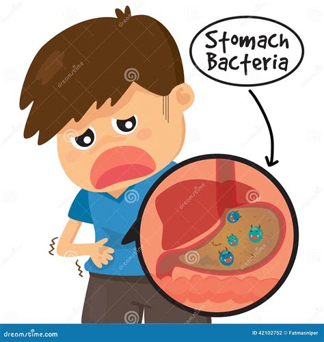 Stomach Germ Virus Biology Digestion Icon. Lactobacillus Probiotic. Stomach Probiotic Health ...
