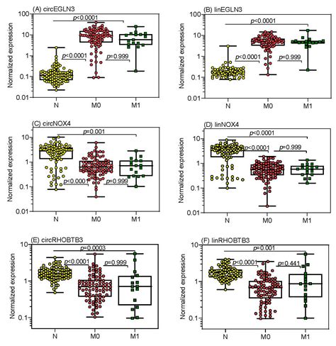 Circular RNAs in Clear Cell Renal Cell Carcinoma: Their Microarray ...