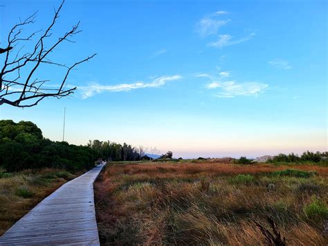 THE BEST Places to Visit in Torre la Sal (2026) - Must-See Attractions