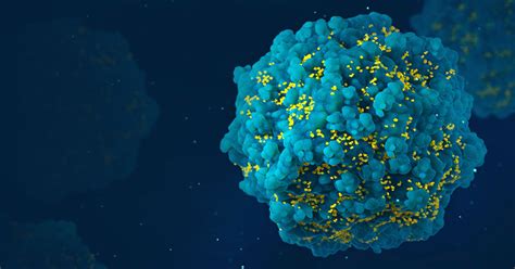 Lentivirus Tools