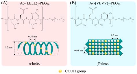 Hydroxyapatite Formation on Self-Assembling Peptides with Differing ...