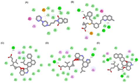Computational Investigation of Montelukast and Its Structural ...
