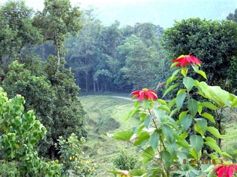 PEDONG VALLEY RESORT (Kalimpong, West Bengal) - Hotel Reviews & Photos ...