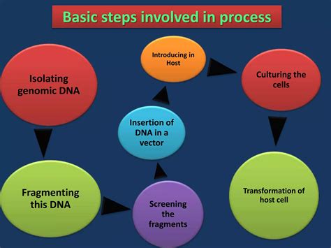 Biotechnology Process 的图像结果