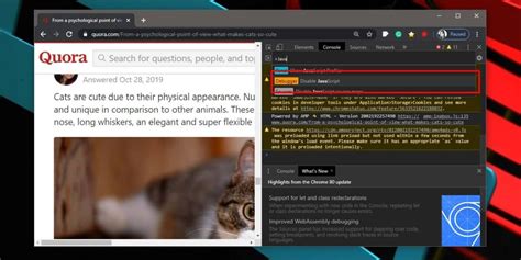 Disable JavaScript 的图像结果