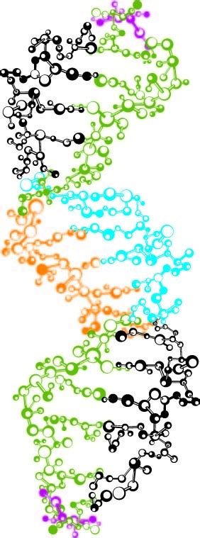 DNA双螺旋结构设计图__图片素材_其他_设计图库_昵图网nipic.com
