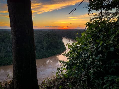 LAS PIEDRAS AMAZON CENTER (Puerto Maldonado) - Lodge Reviews & Photos ...