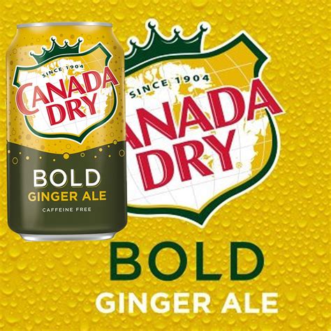 Canada Dry Bold Ginger Ale/Bold Com Gengibre E Baunilha Importada Dos ...