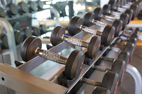 Gym Dumbbells 的图像结果