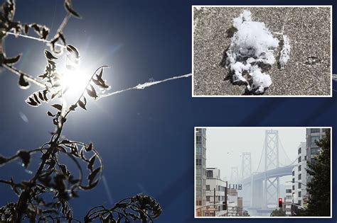 Creepy spiders are falling from the sky in California in nightmare scenario