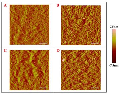 Engineered Peptides Enable Biomimetic Route for Collagen Intrafibrillar ...