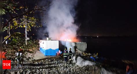 Six goats charred to death; caretaker manages to escape just in time ...