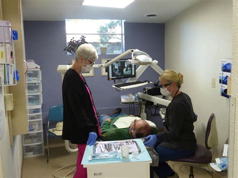 White Bird Dental Logo