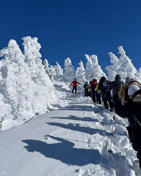 Hakkoda Ropeway Juhyo（Icemonster）Walking Tour - Klook India