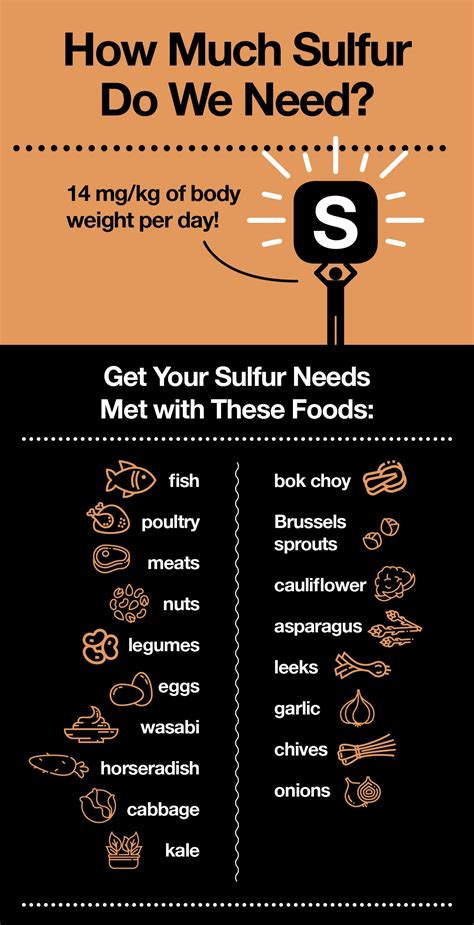 Sulfur Foods Fuel Your Body With Mighty Sulfur| 10 Sulfur Rich Foods