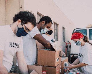 Local Development Base 的图像结果