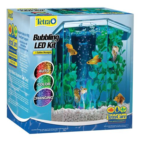 1 Gallon Fish Tank