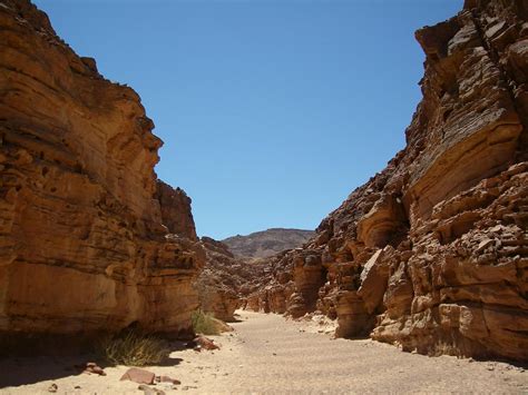 Nuweiba Tourism (2024): All You Need to Know Before You Go