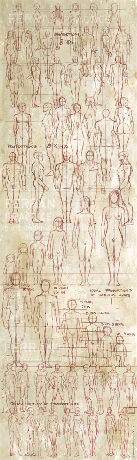 Image result for Figure Drawing Box Practice