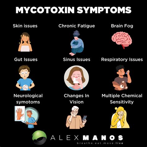 How To Know If You Have Mycotoxins: Symptoms And Testing