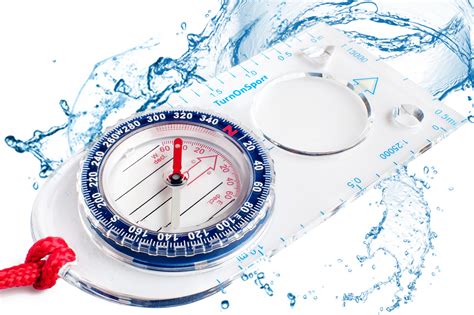 Image result for Blue Compass Module