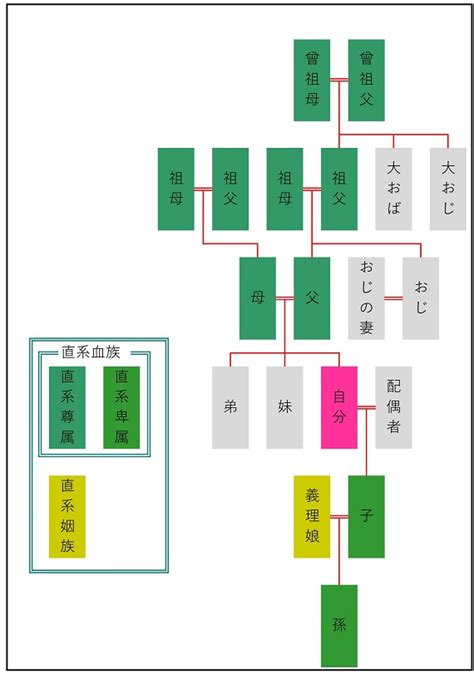 Image result for LLM Interface Example