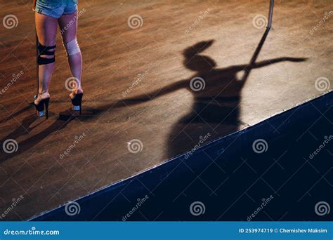 Image result for Striptease Pole Dance