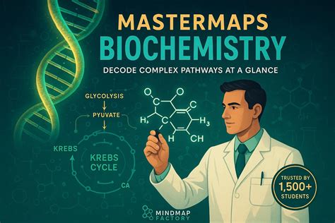 Biochemistry MindMap 的图像结果