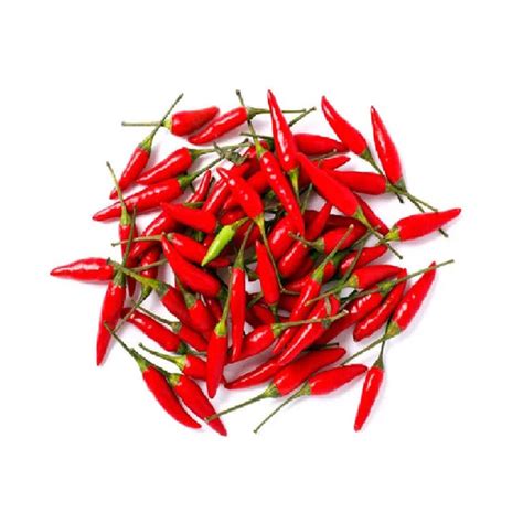 RED CHILLI SMALL – Debon