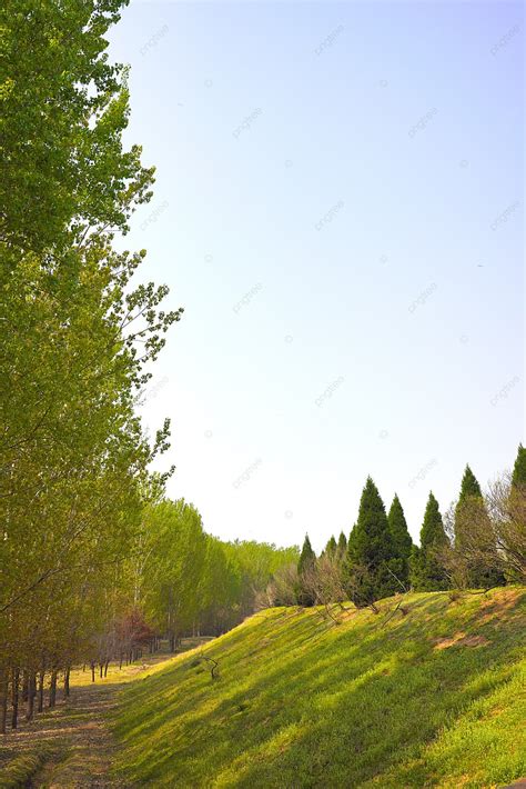 Image result for Free Spring Background