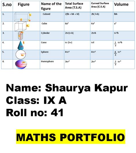 Image result for Portfolio Sample in Math