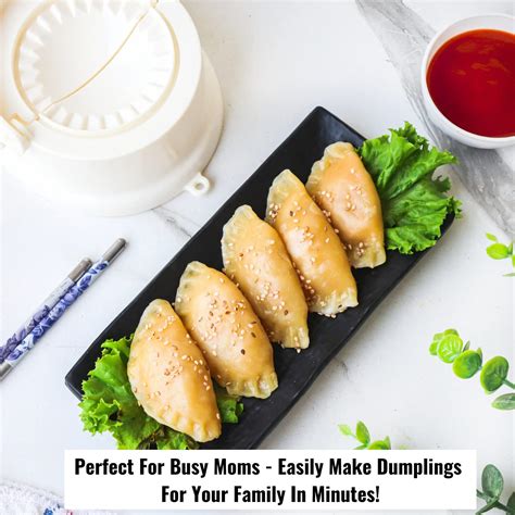 InstaCuppa Dumpling Maker and Momos Maker, 2 in 1 Press and Mould ...