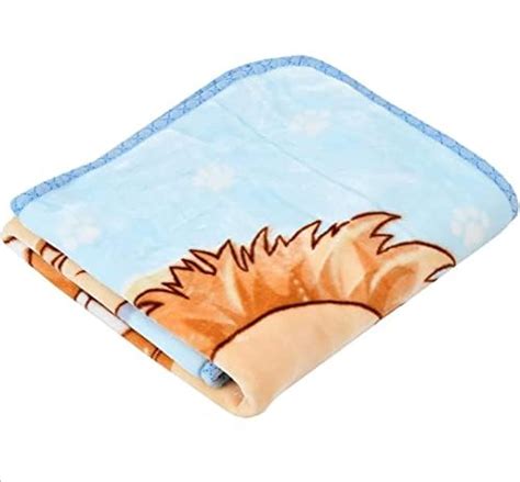 GLOW HOME Newborn Baby Reversible Flannel Blanket, Soft Cozy Swaddle ...
