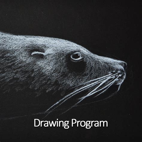 Draw Program 的图像结果