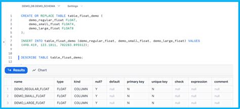 Snowflake Data Type Symbols 的图像结果